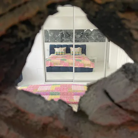 Апартаменты Riba Fish Сараево